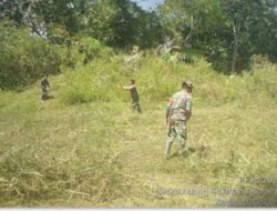 Babinsa Koramil 05 Isaq/Linge Persiapkan Lahan,Tanam Jagung Bersama masyarakat.