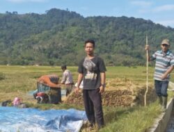 Desa Paya Beke Aceh Tengah,Persawahan Luas dan Kebun sangat Bagus,