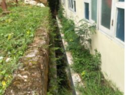 GEDUNG PUSKESMAS RUSIP TAK TERAWAT