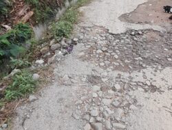 Miris Jalan Paya Reje Rusak Parah Warga Harapkan Ada Perbaikan