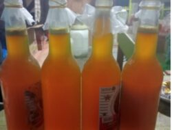 Madu lebah Asli,Dari Kute reje Jamat Kecamatan Linge.