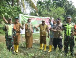 Mencegah Inflasi Daerah Di Aceh Tamiang Pj.Bupati Asra Melaksanakan Gertam Mt II