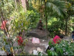 Warga Kampung Kute Reje,Gotong Royong Jalan Ke Kebun Jamur Labu,Kebun Durian.