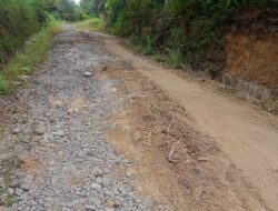 Bertahun Jalan warga Desa Belang Ara Rusak,Tanpa ada Perhatian Pemerintah