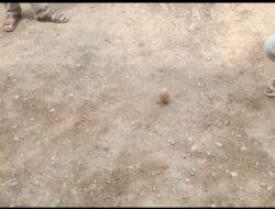 Festival nenggeri Linge,Bermain Gasing,