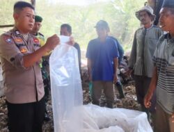 Berbagi Pengalaman, Bhabinkamtibmas Polsek Pegasing Berikan Pelatihan Pembuatan Pakan Ternak (Selase)