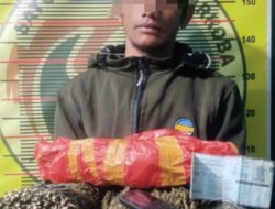 Nekat Bawa 2 KG Ganja Kering, Seorang Pria Dibekuk Satreskoba Polres Aceh Tengah