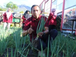 Rutan Bener Meriah Panen Bawang Daun Hasil Pembinaan WBP, Sebagai Bentuk Dukungan Ketahan Pangan Nasional