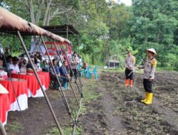 Gugus Tugas Polri Mendukung Ketahanan Pangan, Polres Aceh Tengah Bersama Instansi Terkait Tanam Jagung Hibrida