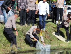 Tingkatkan Ketahanan Pangan Lokal, Kapolres Aceh Tengah Tebar Ribuan Benih Ikan Nila
