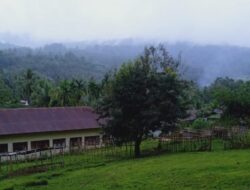 VIRAL, Beredar Foto Areal SDN 4 Linge,Seperti Kandang Kerbau,Salah Siapa,