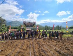 Dukung Program Pemerintah Kapolsek Linge Bersama Muspika dan Masyarakat Tanam Jagung Serentak di Kampung Gelampang Gading