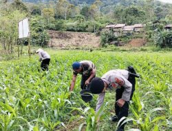 Dukung Asta Cita Presiden, Polres Aceh Tengah Rutin Sambangi Masyarakat Cek Lahan Ketahanan Pangan