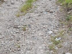 Puluhan Tahun Rusak, Warga Kampung Rutih Desak Perbaikan Jalan Penghubung Utama