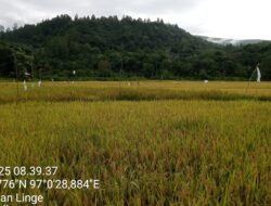 Warga PantanNangka dan Simpang Tiga Uning,Pertanyakan Kapan Turun Ke Lapangan Penetapan Batas Konsesi THL.