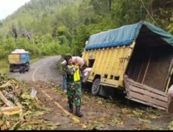 Senergitas TNI-Polri,Koramil O5/Isaq dan Polsek Linge,Gerak Cepat Bersihkan Badan Jalan Tertutup Pohon Tumbang.