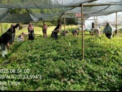 Kader Pos Yandu,Pos Bindu dan Kader PKK,Jumat Bersih Kampung PantanNangka.