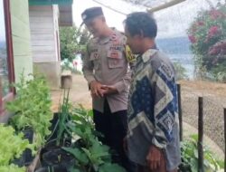 Bhabinkamtibmas Polsek Bintang Cek Perkembangan Tanaman Pangan Bergizi di Kampung Binaan