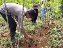 Motivasi Warga Binaan Perkuat Ketahanan Pangan, Polsek Linge Terjun Langsung Bersama Masyarakat