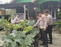 Polsek Bebesen Panen Tanaman Pekarangan Pangan Bergizi, Dorong Warga Tingkatkan Kesejahteraan Melalui Pangan Sehat