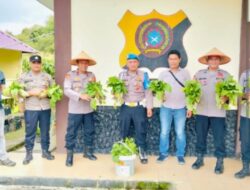 Kapolsek Celala dan Anggota Panen Sayur Mayur di Lahan Perkarangan Bergizi Polsek
