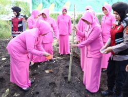 Penanaman Jagung Serentak Kuartal III, Polres Aceh Tengah Siapkan Lahan 24 Hektare Lebih