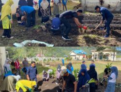 Dinas Pendidikan dan Kebudayaan Aceh Tengah Optimalkan Lahan Kantor untuk Dukung Ketahanan Pangan dan Apotek Hidup