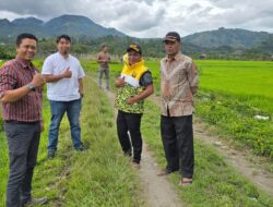 Anggota DPRK Aceh Tengah Yuska Mashudi Tinjau Rencana Peningkatan Jalan Alternatif di Jongok Muluem