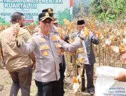 Panen Raya Jagung Kuartal III, Kapolres Aceh Tengah dan Forkopimda Kompak Dukung Swasembada Pangan Nasional