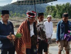 Kejurun Belang Gelar Nene Nomang, Ketua MAA Serbajadi Harap Muspika Dukung Pelestarian Adat
