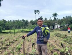 PULIHMI SEMANGAT RAYAMI BAHGIE