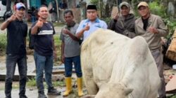 PPWI Aceh Tamiang Rayakan Tradisi Meugang dengan Aksi Berbagi untuk Insan Pers