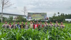 Kapolres Aceh Tengah Tinjau Perkembangan Tanaman Jagung Program Ketahanan Pangan