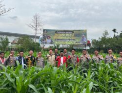 Kapolres Aceh Tengah Tinjau Perkembangan Tanaman Jagung Program Ketahanan Pangan
