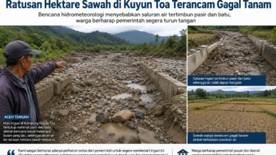 Irigasi Tertutup Material Banjir, Ratusan Hektare Sawah di Kuyun Toa Terancam Gagal Tanam