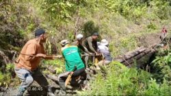 Semangat Gotong Royong,Puluhan Warga PantanNangka Buat Jembatan Kayu Jalan Kebun.