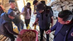 Polres Aceh Tengah Tertibkan Dugaan Aktivitas PETI di Pegasing, Ratusan Karung Material dan Peralatan Tambang Diamankan