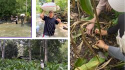 Mahasiswa PPKPM IAIN Takengon Kelompok 2 Kenali Potensi Hasil Bumi Desa Pantan Nangka