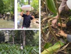Mahasiswa PPKPM IAIN Takengon Kelompok 2 Kenali Potensi Hasil Bumi Desa Pantan Nangka