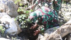 Kodim 0106 Tanam 1.000 Pohon, Hijaukan Bintang Sambut HUT ke-81 TNI